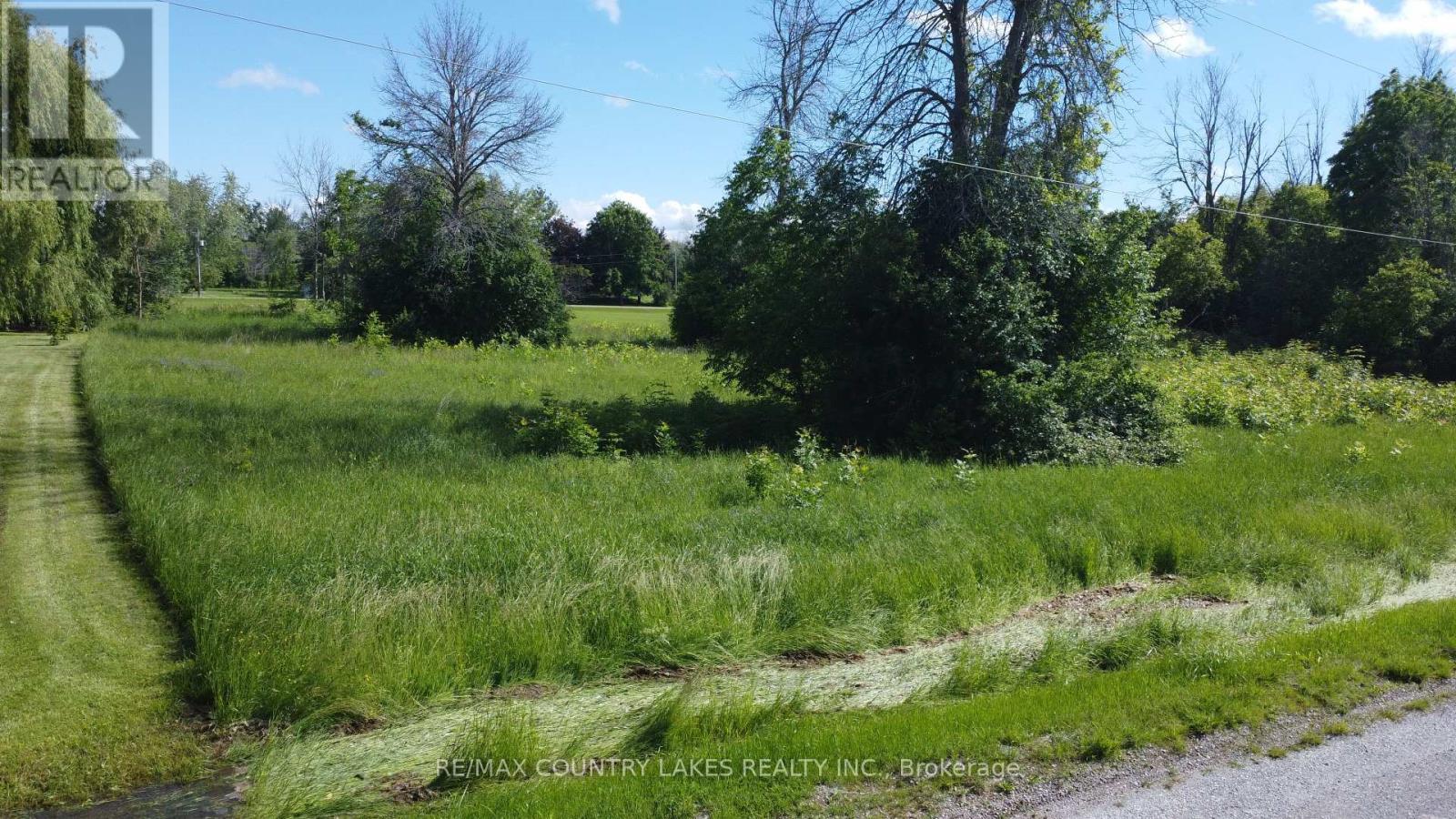 2889 Sunset Drive, Ramara, Ontario  L0K 1B0 - Photo 2 - S13476574