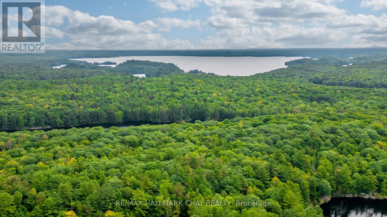 35 Little Long Lake Road, Muskoka Lakes, Ontario P0C 1J0 - Photo 2 - X13476052
