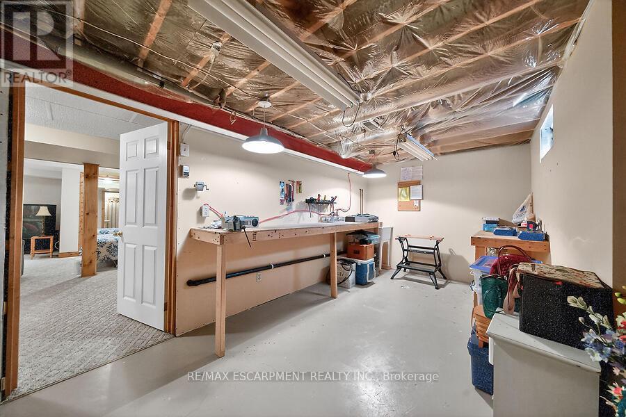 50 Critzia Drive, Hamilton, Ontario L0R 1W0 - Photo 20 - X13476548