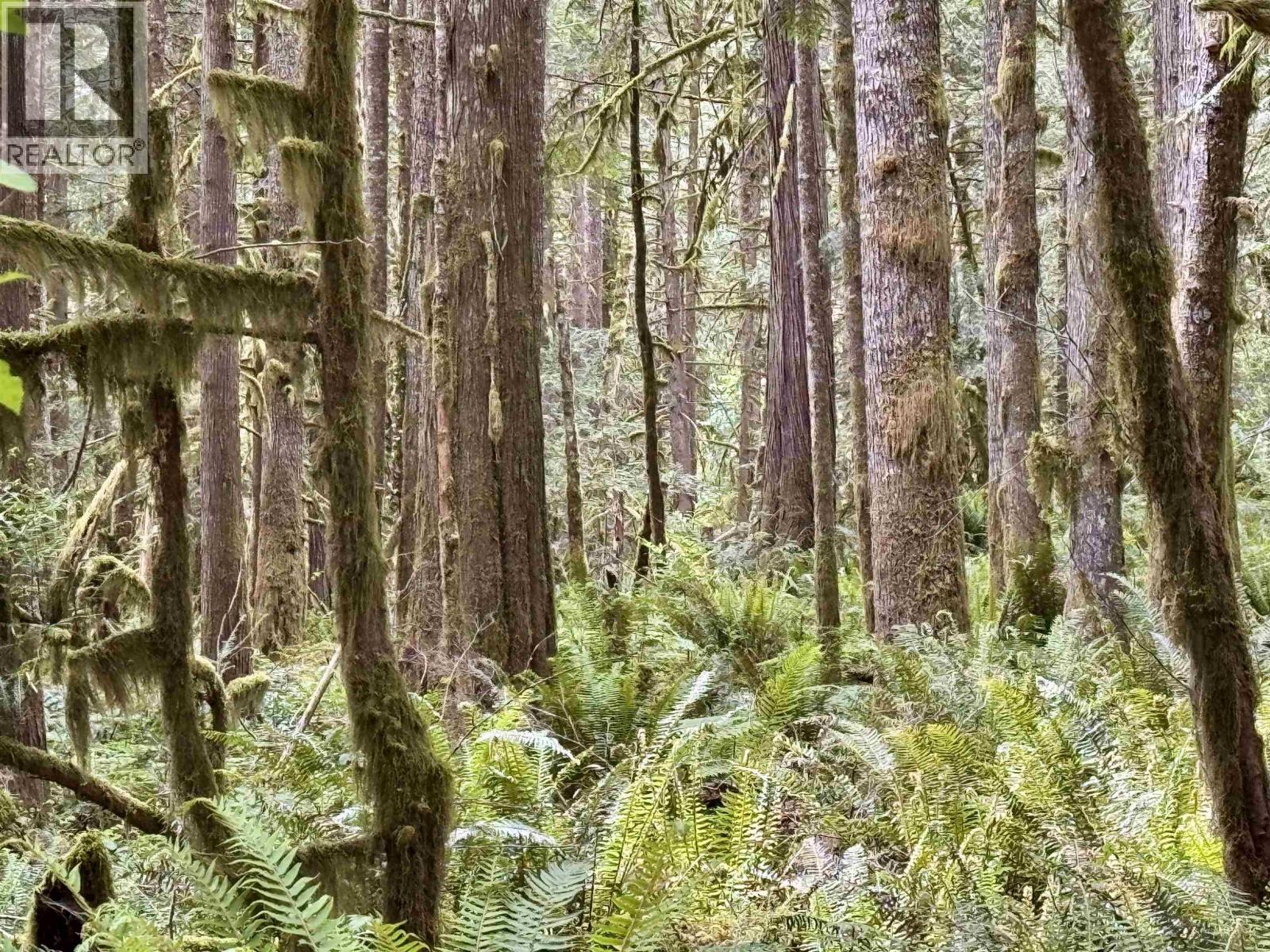7425 Sechelt Inlet Road, Sechelt, British Columbia  V7Z 0C7 - Photo 36 - R3138714