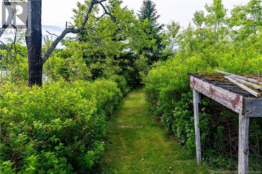 23 Leavitts Head Cemetery Road, Back Bay, New Brunswick  E5C 1Z5 - Photo 15 - NB142144