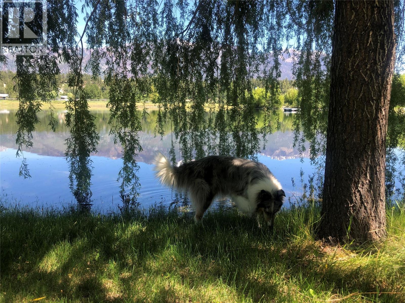 picture 24