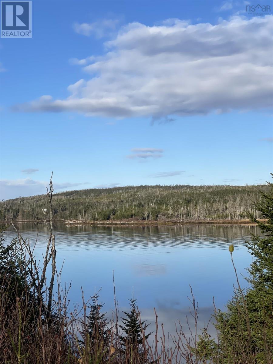 Lot 21-2 West Liscomb Point Road, West Liscomb, Nova Scotia  B0J 2A0 - Photo 9 - 202601909