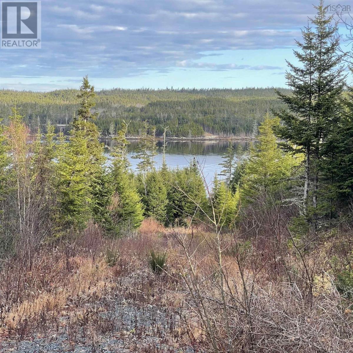 Lot 21-2 West Liscomb Point Road, West Liscomb, Nova Scotia  B0J 2A0 - Photo 8 - 202601909