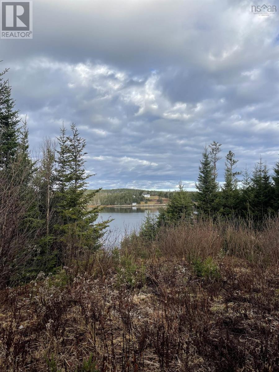 Lot 21-2 West Liscomb Point Road, West Liscomb, Nova Scotia  B0J 2A0 - Photo 6 - 202601909