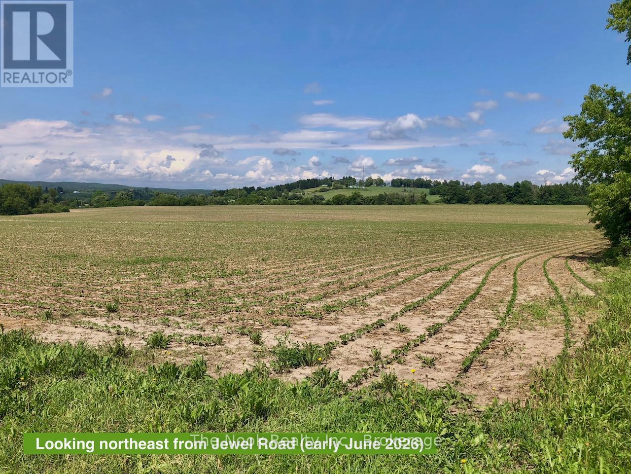 3908 Regional Rd 9 Road, Clarington, Ontario  L0B 1M0 - Photo 10 - E13474706