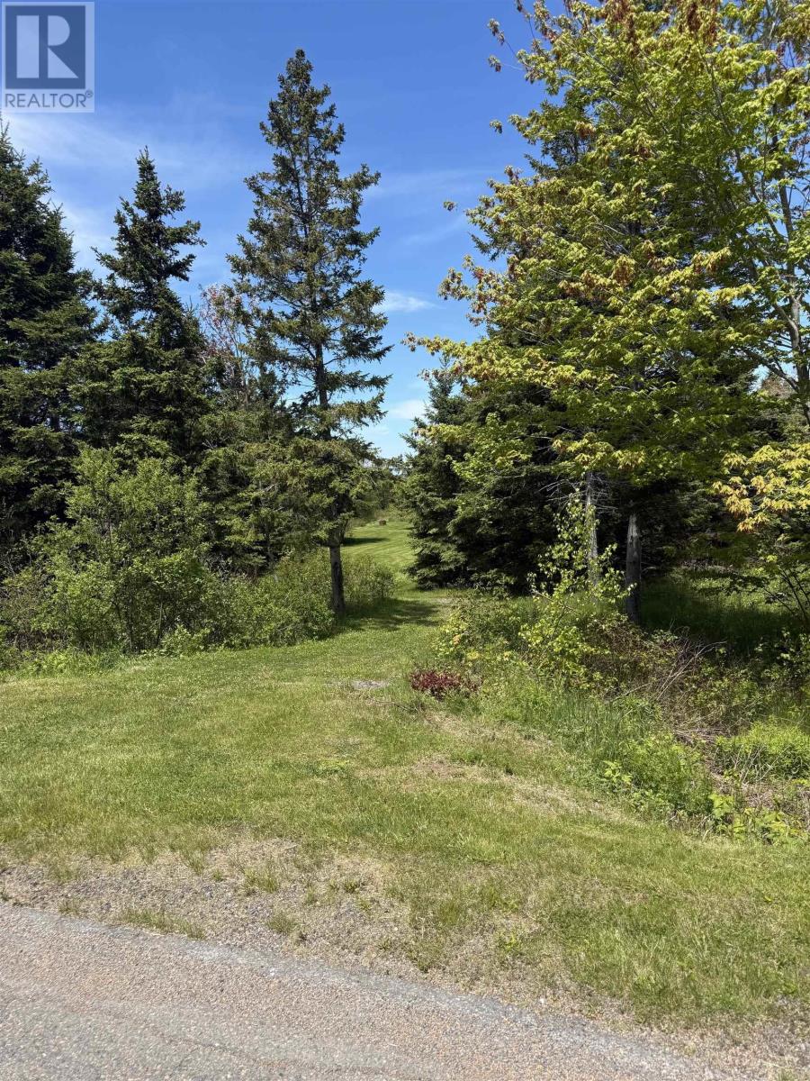 Lot 10 889 Blue Sea Road, Malagash Point, Nova Scotia  B0K 1E0 - Photo 10 - 202613874