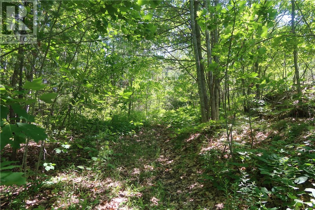 0 Collins Inlet, Killarney, Ontario  P0M 2A0 - Photo 28 - 2128753