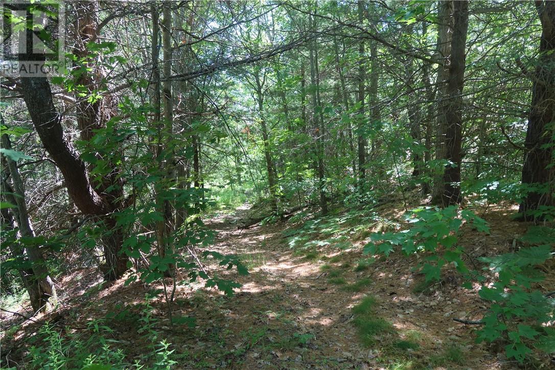 0 Collins Inlet, Killarney, Ontario  P0M 2A0 - Photo 29 - 2128753