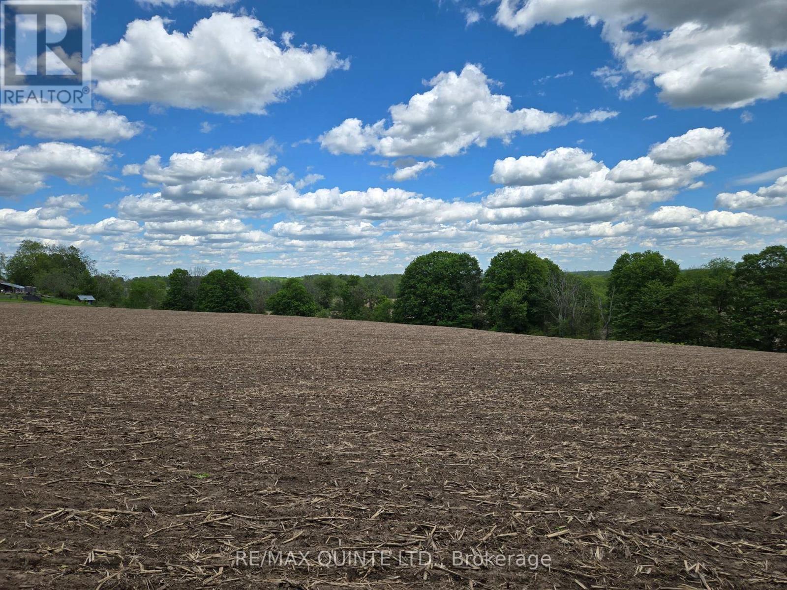 0 Marrisett Road, Tweed, Ontario K0K 3H0 - Photo 8 - X12833428