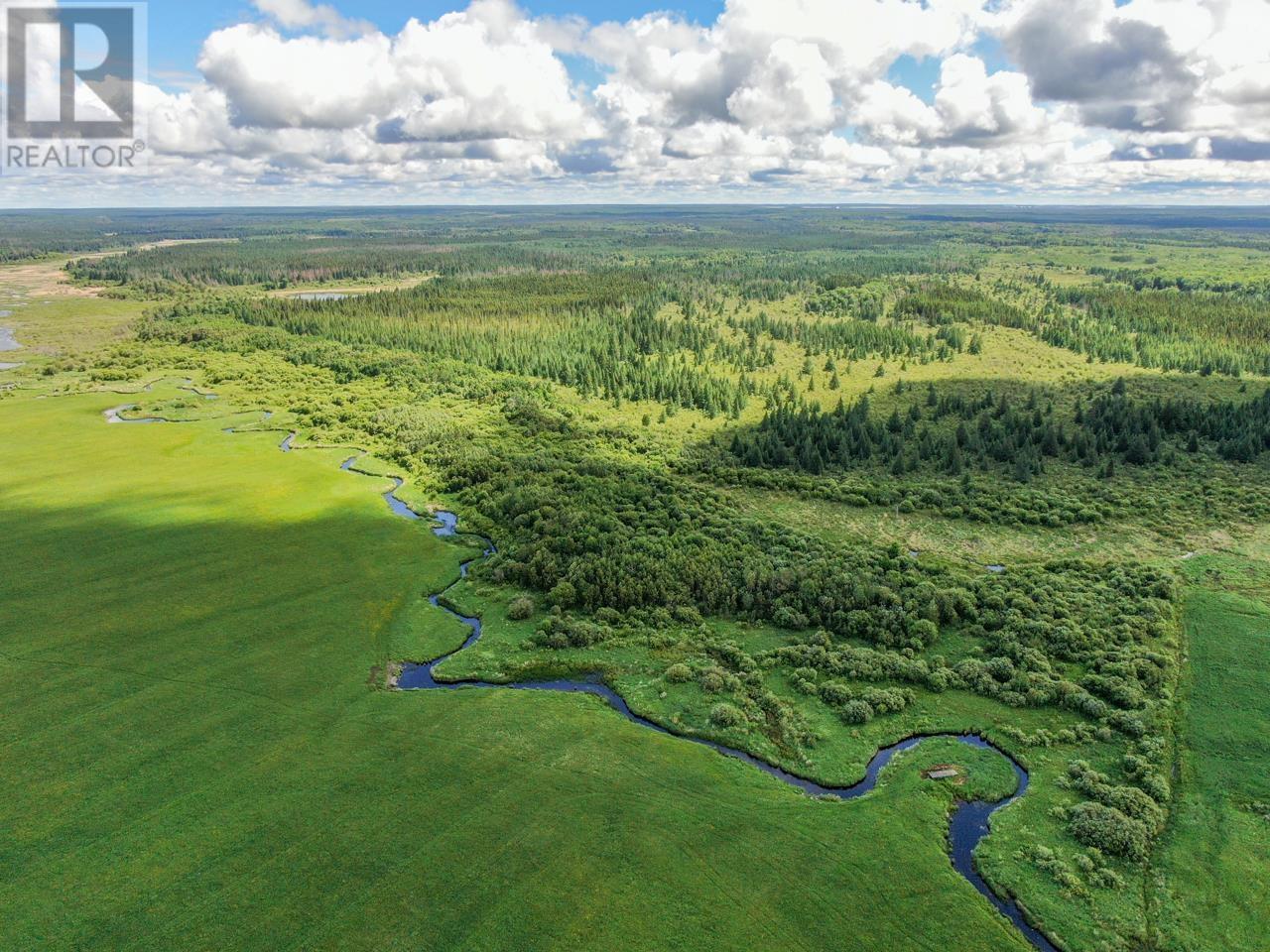 Forster Road, Morley Township, Ontario  P0W 1N0 - Photo 4 - TB2601642