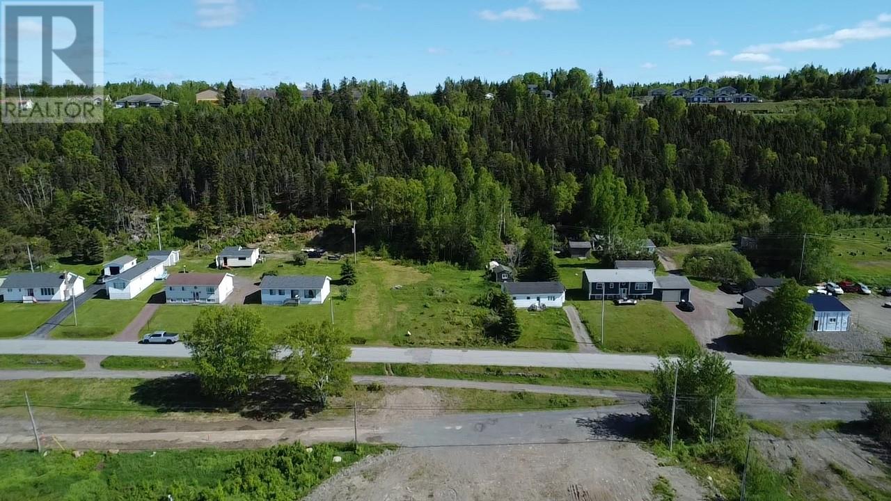 187 Citizens Drive, Norris Arm, Newfoundland & Labrador  A0G 3M0 - Photo 4 - 1266930