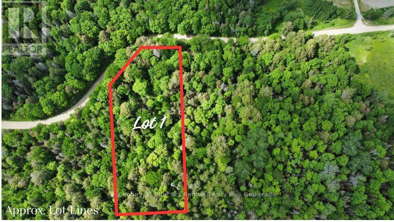 LOT 1 LATIMER LANE, Calvin, Ontario