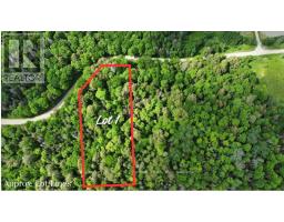 LOT 1 LATIMER LANE, Calvin, Ontario