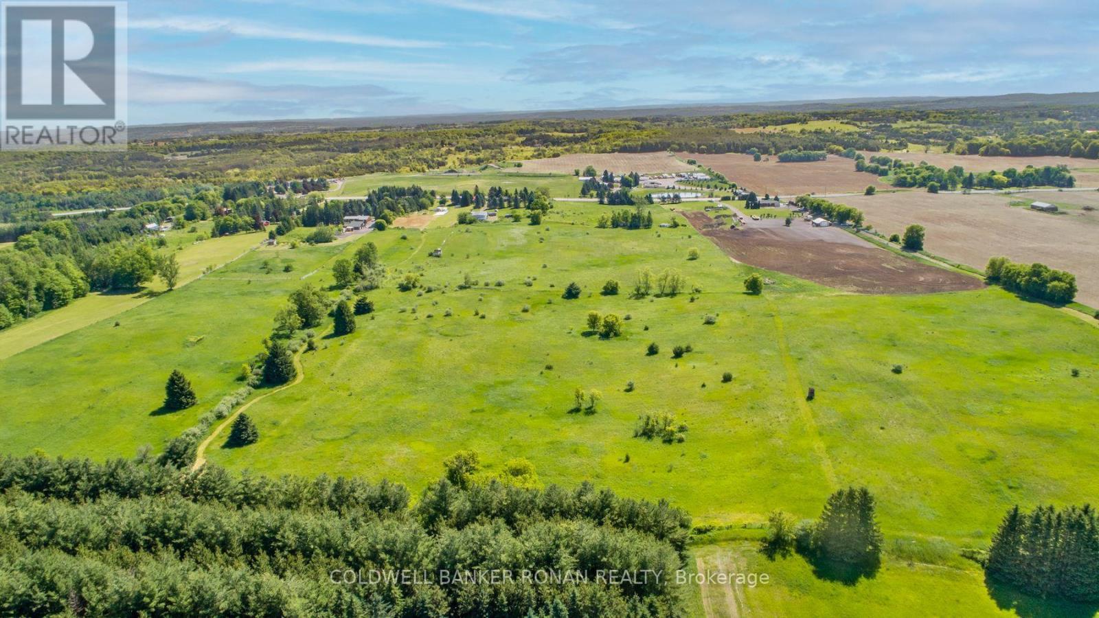 1420 County Road 50, Adjala-Tosorontio, Ontario  L9G 0E2 - Photo 6 - N13446850