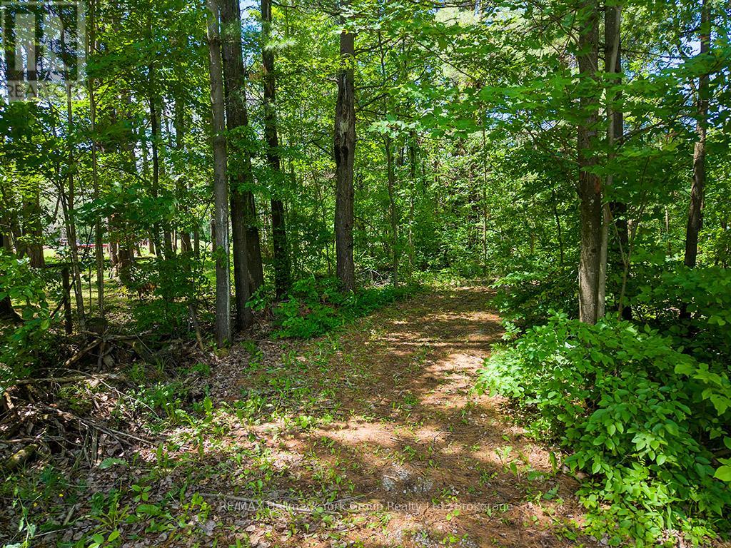 1116 Taylor Line, Severn, Ontario  L0K 1E0 - Photo 21 - S13478250
