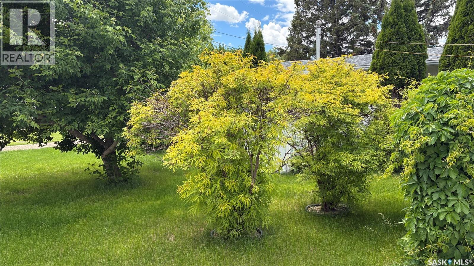 307 Gastle Street, Strasbourg, Saskatchewan  S0G 4V0 - Photo 14 - SK034219