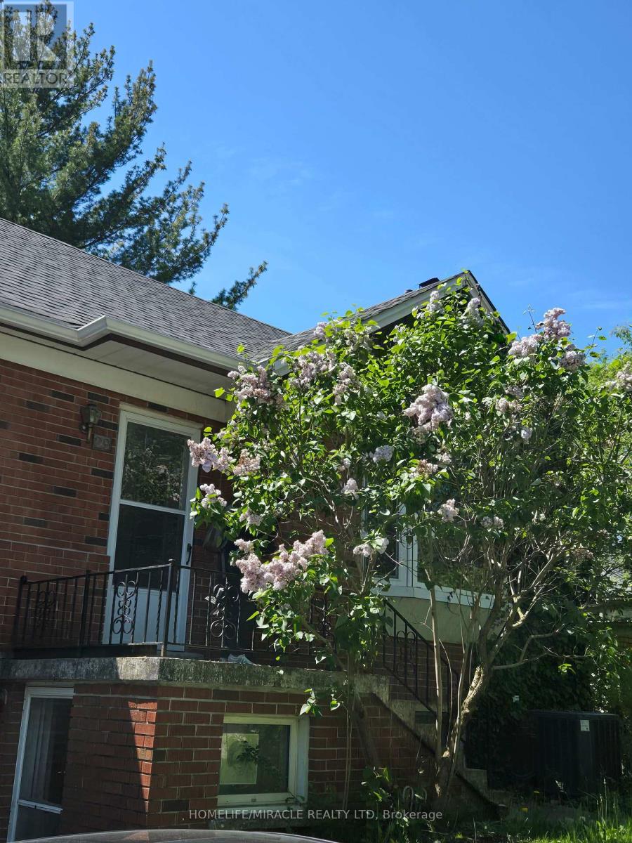 29 Codsell Avenue, Toronto, Ontario  M3H 3V7 - Photo 34 - C13462998
