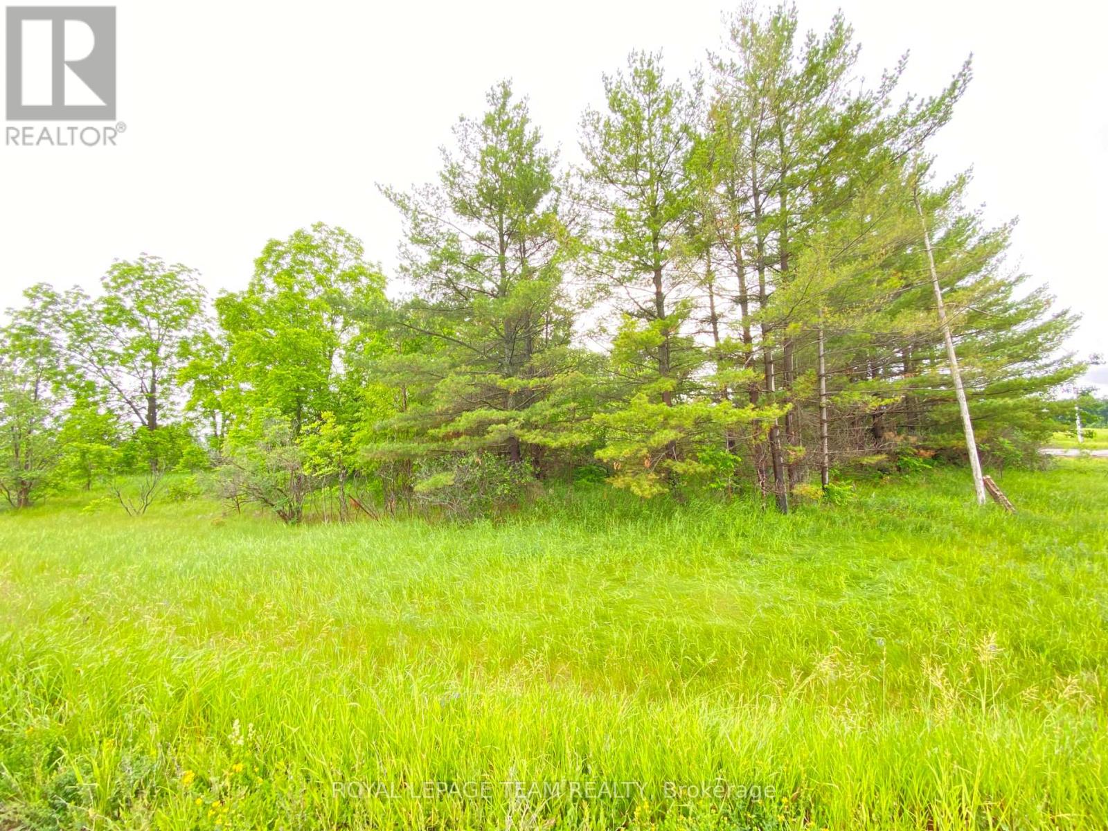 Lot 1 Madawaska Boulevard, Arnprior, Ontario  K7S 3H6 - Photo 3 - X13478360