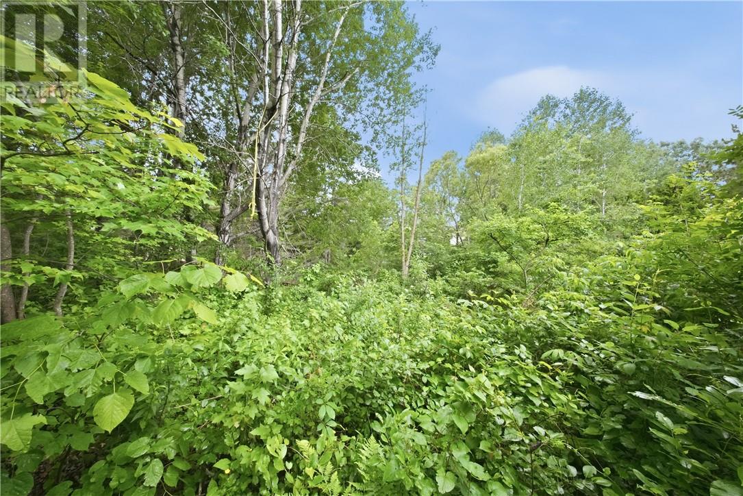 N/a Black Lake Road, Lively, Ontario  P3Y 1H4 - Photo 6 - 2128731