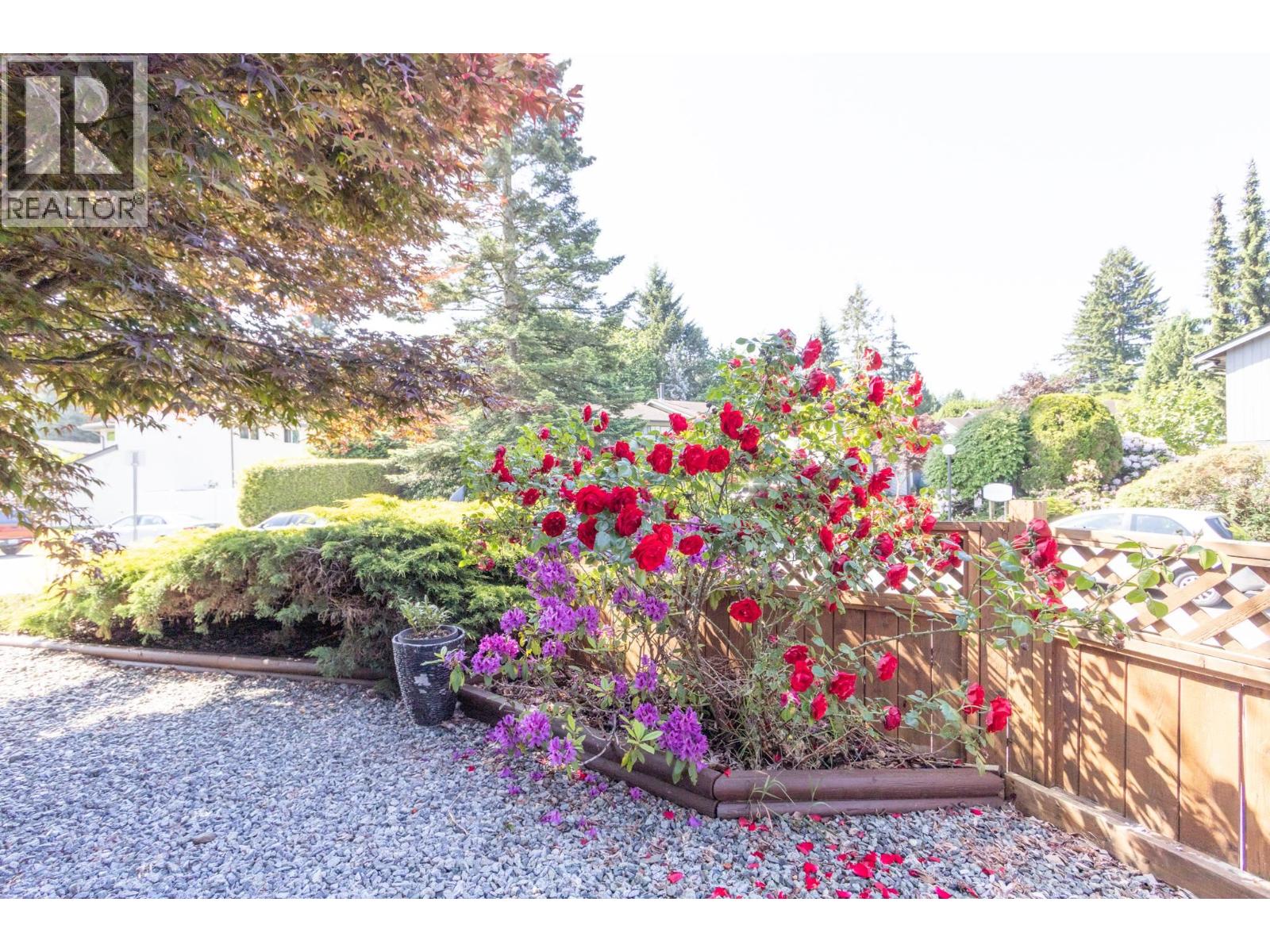 21573 Cherrington Avenue, Maple Ridge, British Columbia  V2X 8R2 - Photo 26 - R3138819