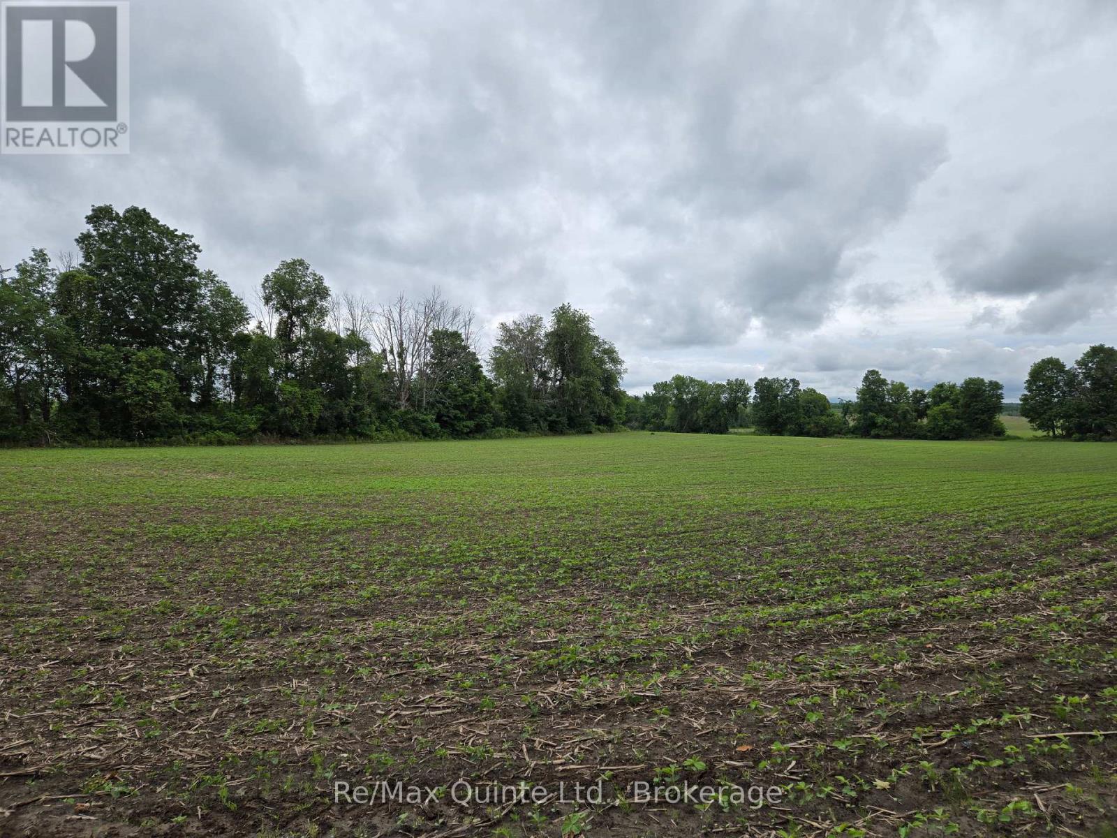 0 Marrisett Road, Tweed, Ontario  K0K 3H0 - Photo 7 - X12833442