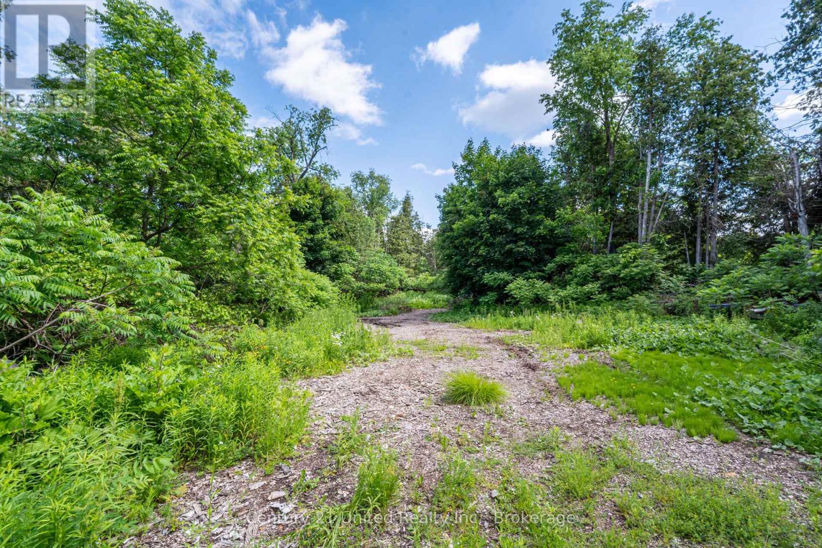 2403 Upper Chemong Drive, Selwyn, Ontario  K0L 2H0 - Photo 23 - X13478574
