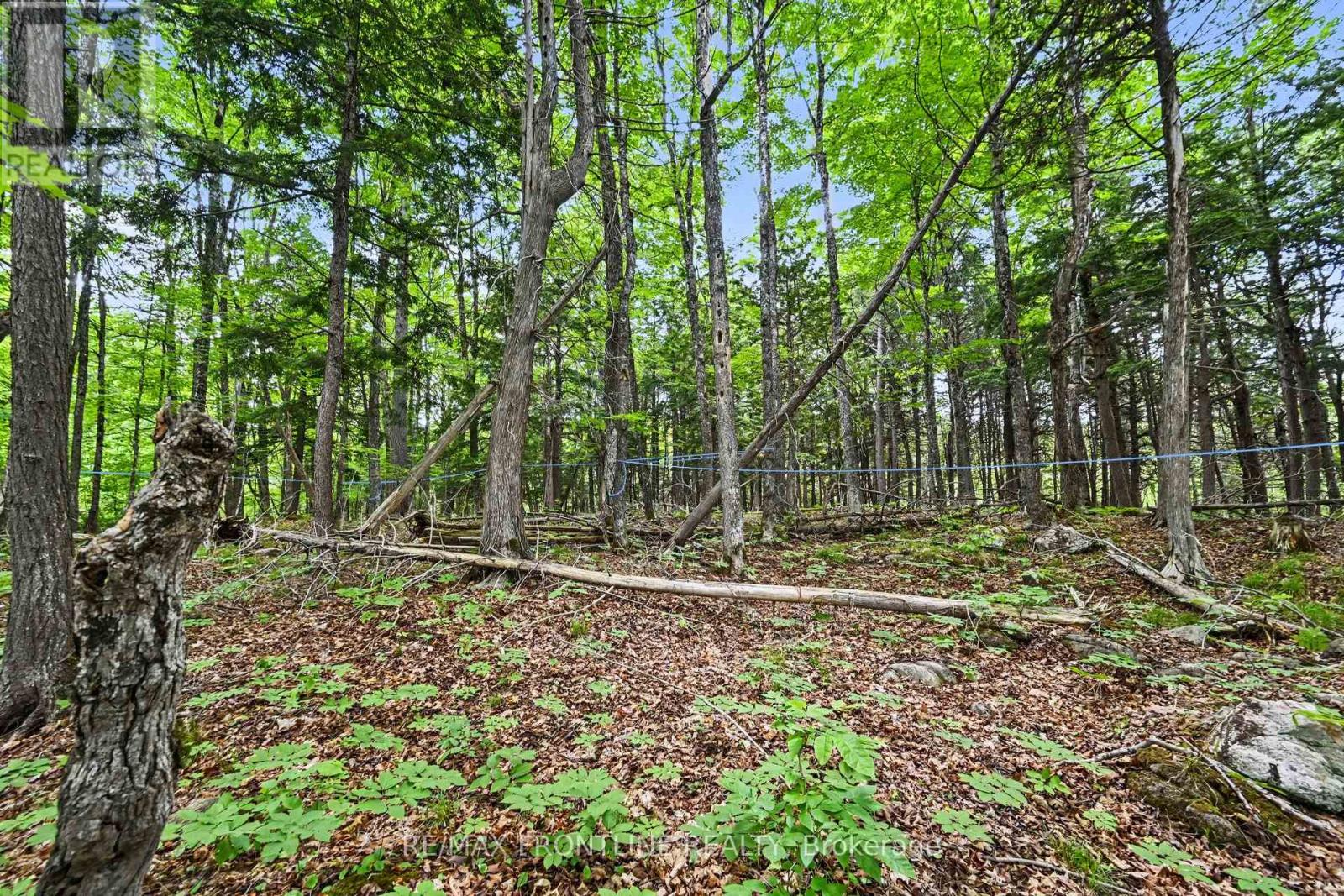 634 Concession 5a Dalhousie, Lanark Highlands, Ontario  K0G 1K0 - Photo 1 - X13478800