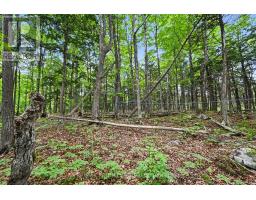 634 CONCESSION 5A DALHOUSIE, Lanark Highlands, Ontario