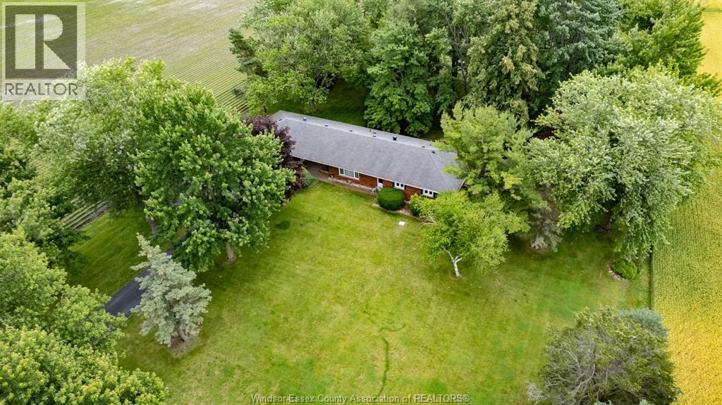 3739 Concession Rd 3, Harrow, Ontario  N0R 1G0 - Photo 45 - 26014927
