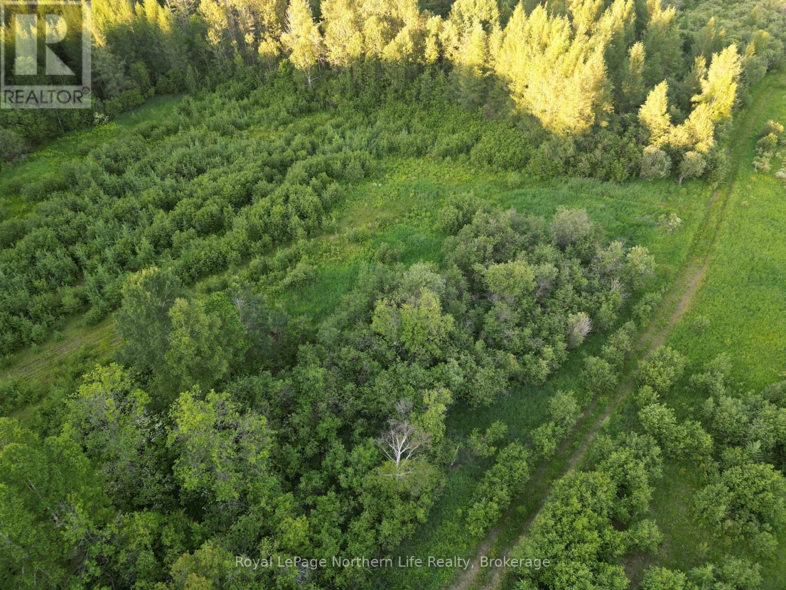 29 Highway 522, Powassan, Ontario  P0H 2L0 - Photo 28 - X13478882