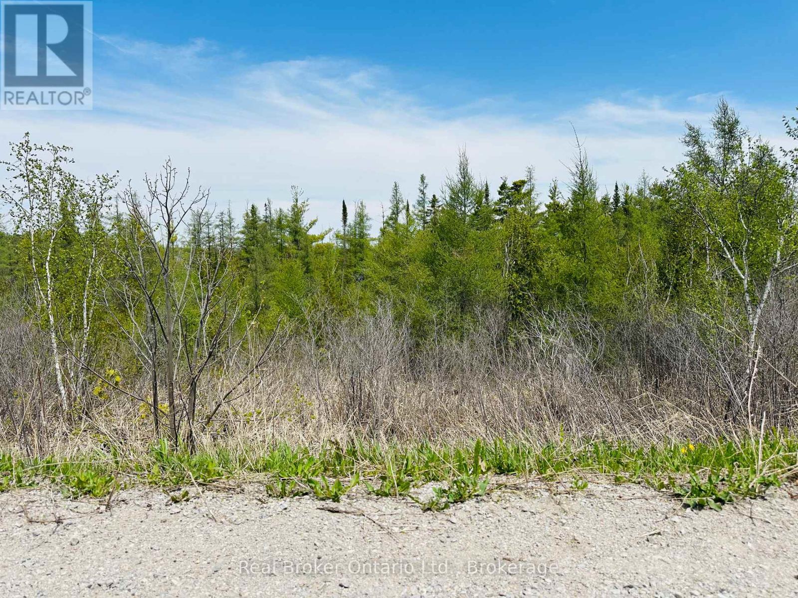 Lot 43 County Rd 16 Road, Severn, Ontario  L0K 2C0 - Photo 5 - S13479224