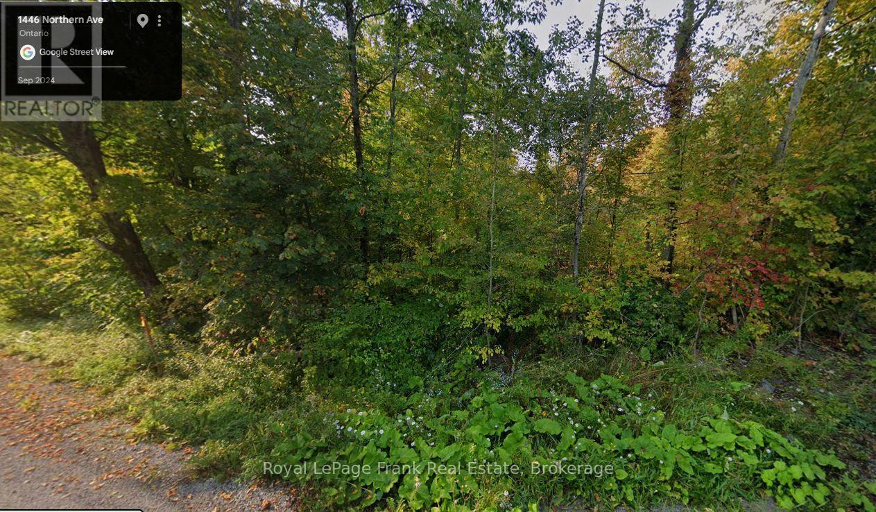 0 Northern Avenue, Trent Lakes, Ontario  K0M 1A0 - Photo 1 - X13479344