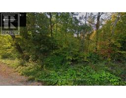 0 NORTHERN AVENUE, Trent Lakes, Ontario