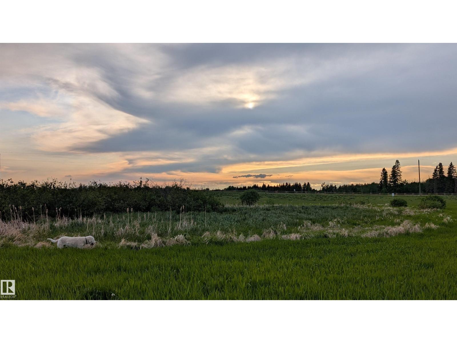 21173 Twp Rd 534, Rural Strathcona County, Alberta  T8E 2C8 - Photo 4 - E4495195