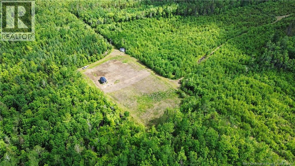 LOT/CAMP Sapin Court, Rogersville, New Brunswick