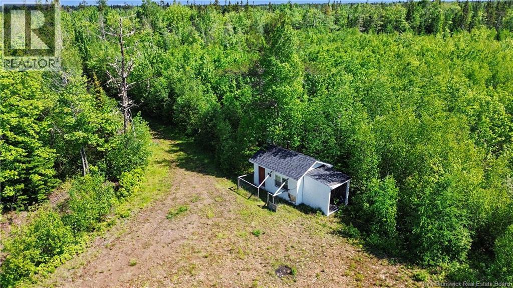 Lot/camp Sapin Court, Rogersville, New Brunswick  E4Y 1W5 - Photo 13 - NB141895
