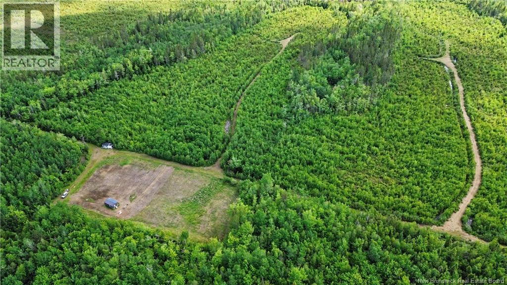 Lot/camp Sapin Court, Rogersville, New Brunswick  E4Y 1W5 - Photo 21 - NB141895