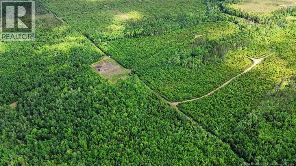 Lot/camp Sapin Court, Rogersville, New Brunswick  E4Y 1W5 - Photo 23 - NB141895