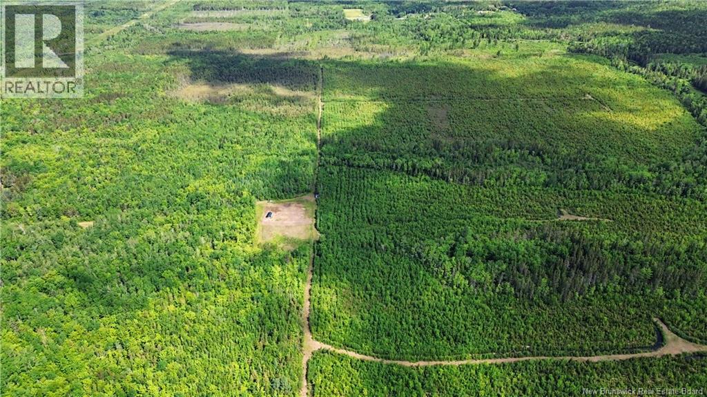 Lot/camp Sapin Court, Rogersville, New Brunswick  E4Y 1W5 - Photo 24 - NB141895