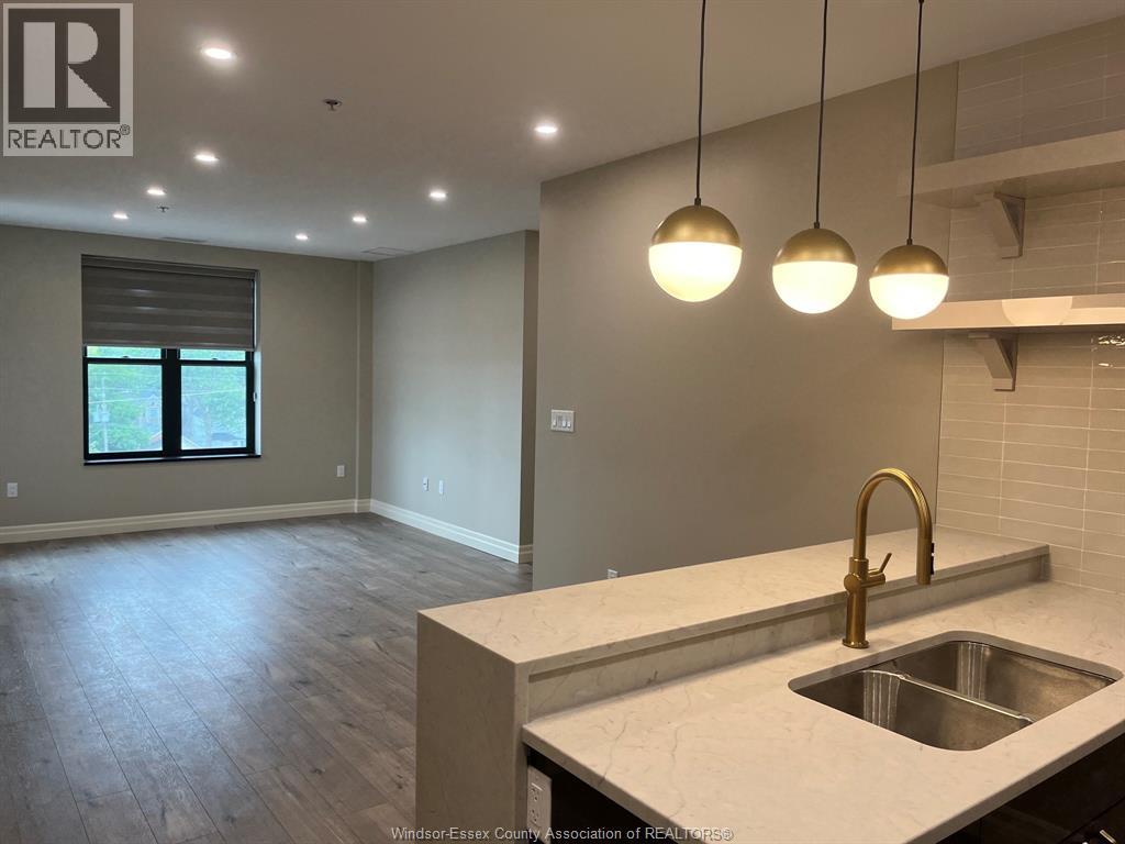 531 Pelissier Street Unit# 206, Windsor, Ontario  N9A 4L2 - Photo 7 - 26014922