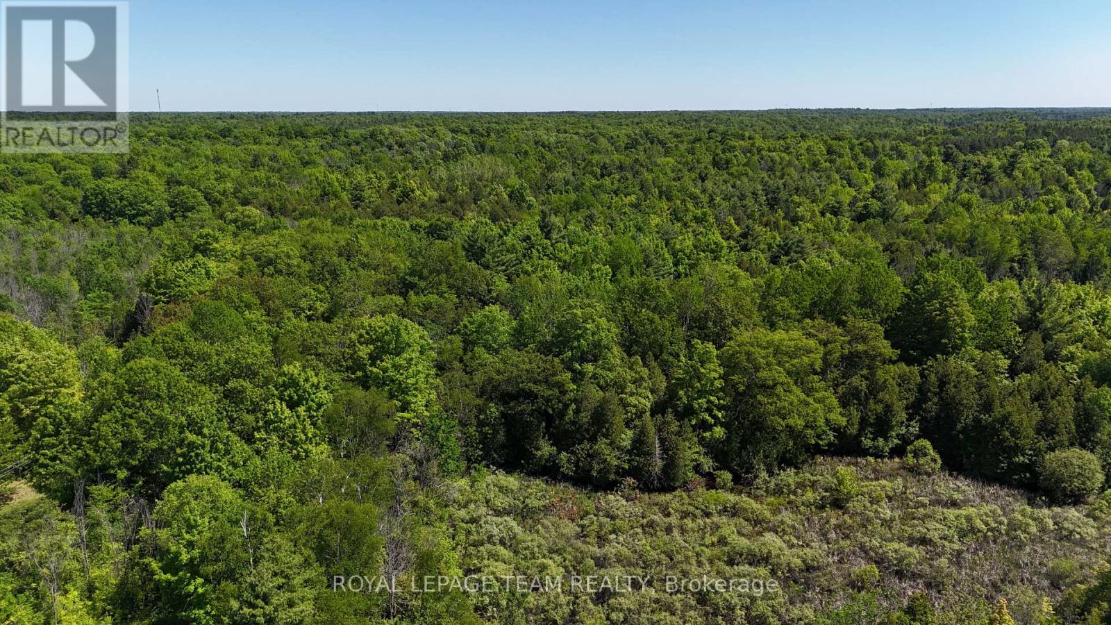000 Dragonfly Lane, Rideau Lakes, Ontario K0G 1L0 - Photo 6 - X13479602