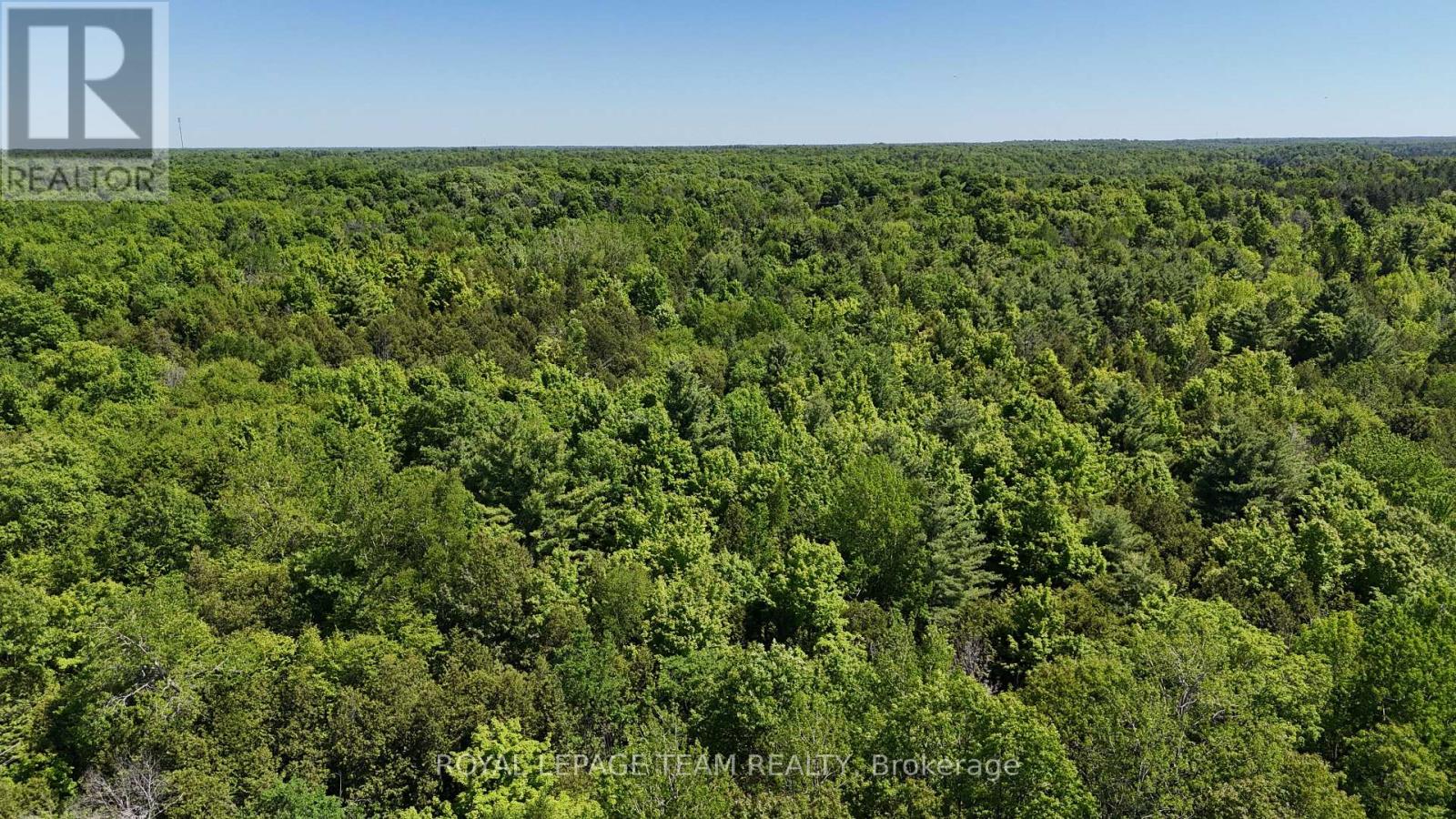 000 Dragonfly Lane, Rideau Lakes, Ontario K0G 1L0 - Photo 7 - X13479602