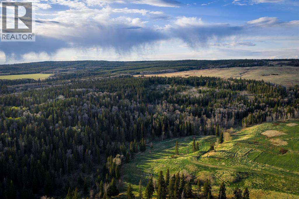 3208 Township Road 75, Rural Cypress County, Alberta  T0J 1V0 - Photo 13 - A2322907