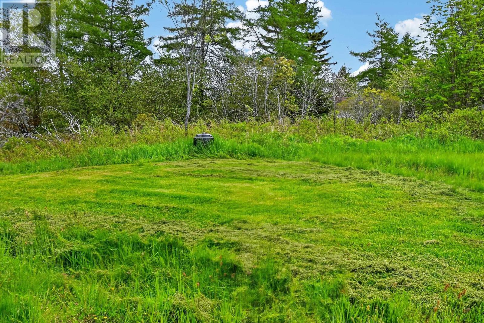 50 Riverview Drive, South River Bourgeois, Nova Scotia  B0E 2X0 - Photo 46 - 202614734