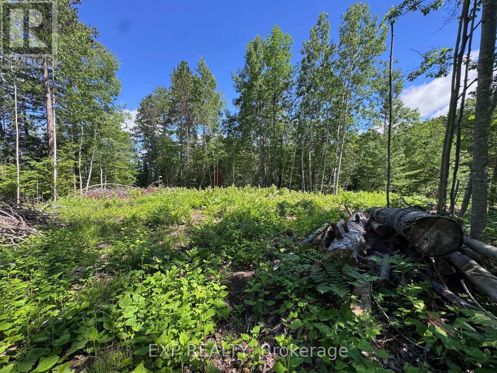 3395b Old Barry's Bay Road, Madawaska Valley, Ontario  K0J 1B0 - Photo 6 - X13135668