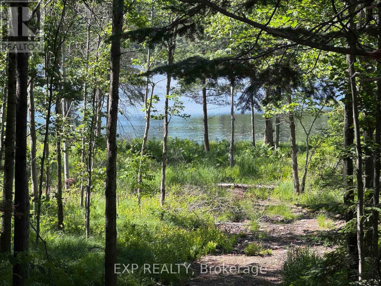 3395b Old Barry's Bay Road, Madawaska Valley, Ontario  K0J 1B0 - Photo 11 - X13135668