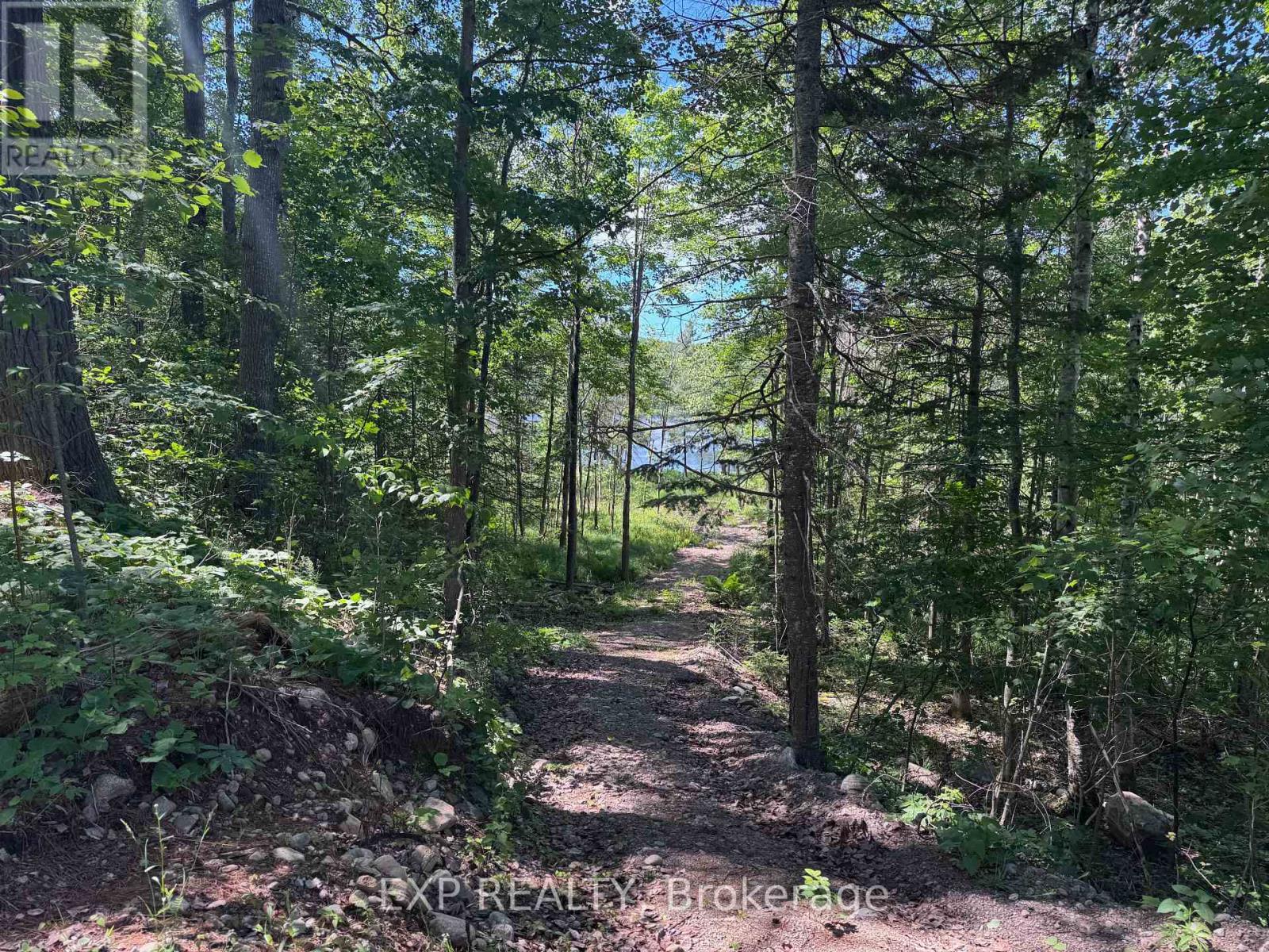 3395b Old Barry's Bay Road, Madawaska Valley, Ontario  K0J 1B0 - Photo 10 - X13135668