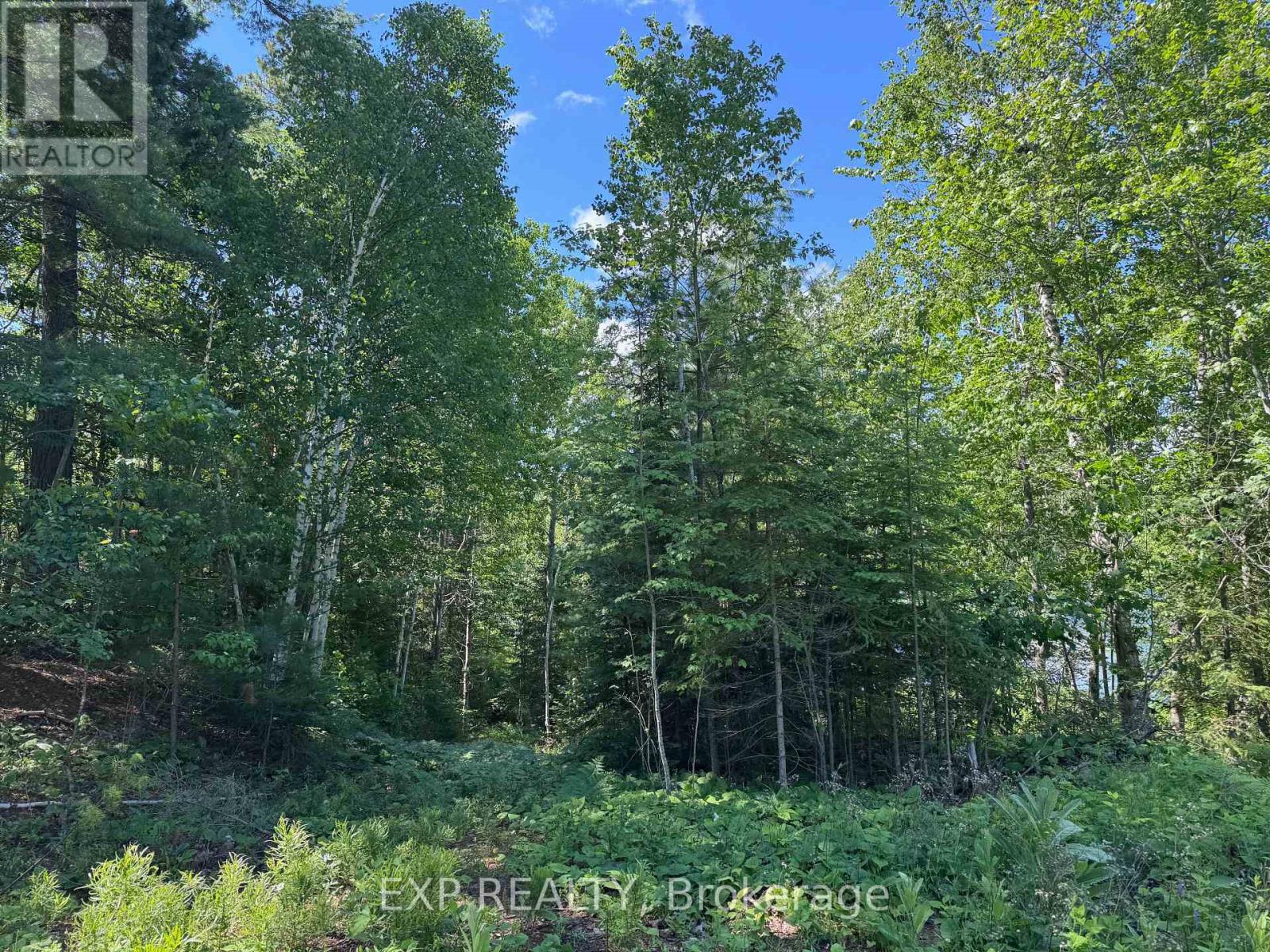 3395a Old Barry's Bay Road, Madawaska Valley, Ontario  K0J 1B0 - Photo 10 - X13135670