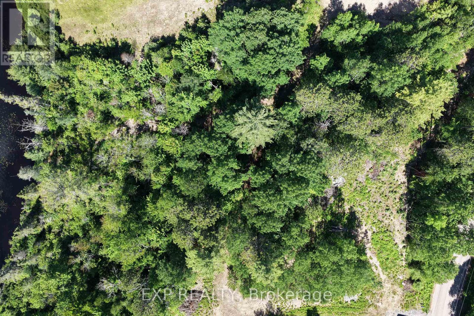 3395b Old Barry's Bay Road, Madawaska Valley, Ontario  K0J 1B0 - Photo 7 - X13135668